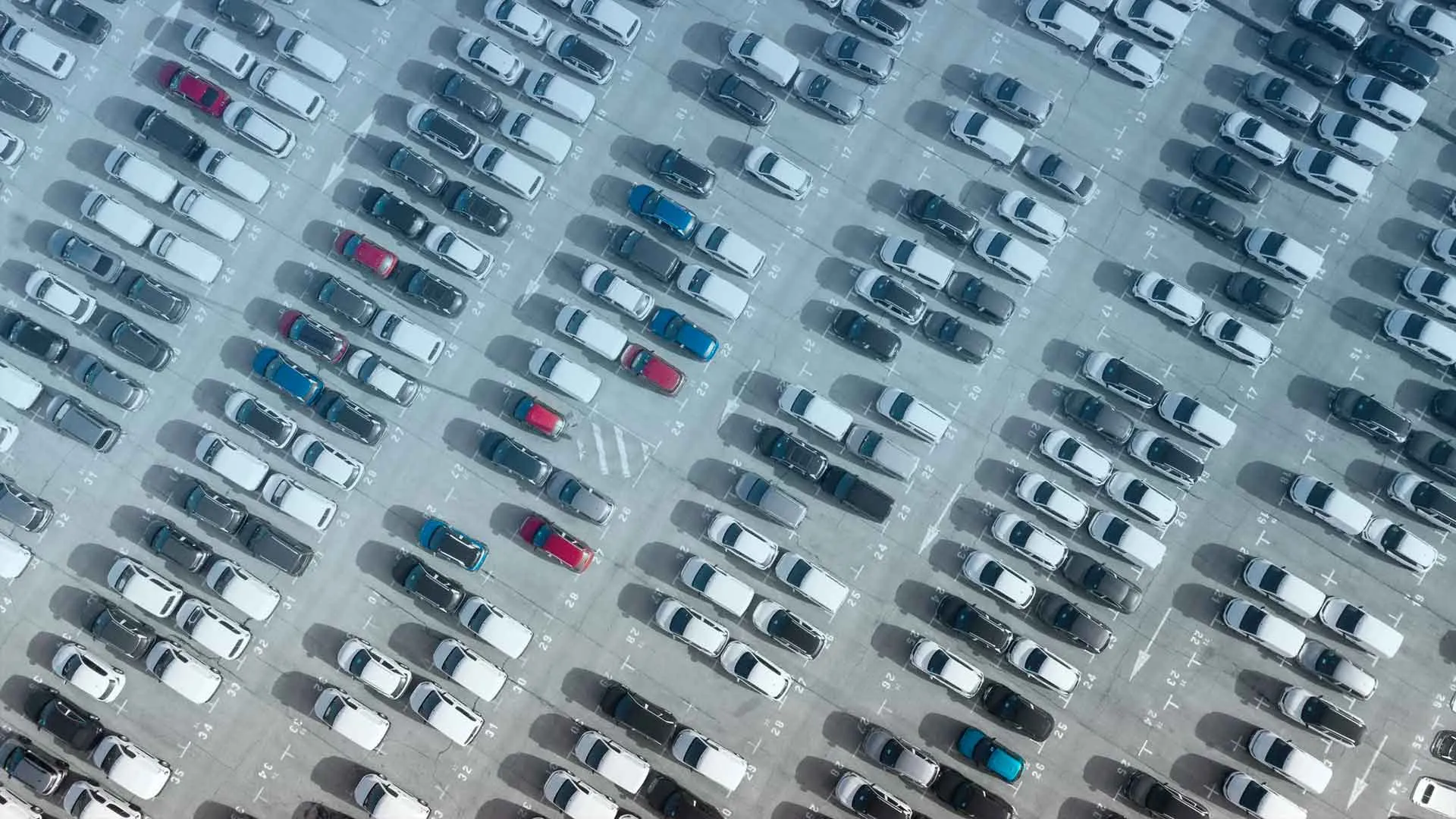Parking Enforcement